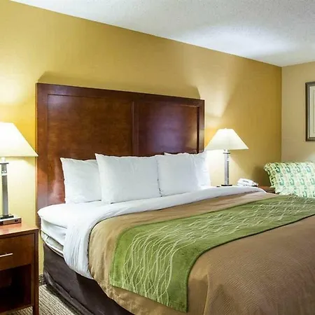 Comfort Inn Columbia-Bush River Exterior foto
